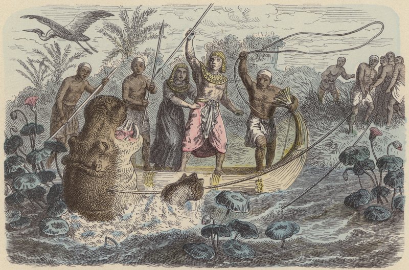 Gammel egyptisk farao på flodhestjakt (farget gravering) av German School