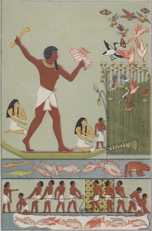 Gamle egyptere som fisker og jakter fugler (farge litho) av German School