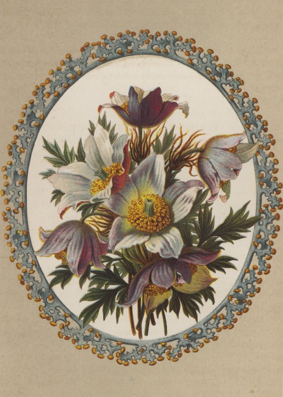 Anemoner (kromolitt) av German School