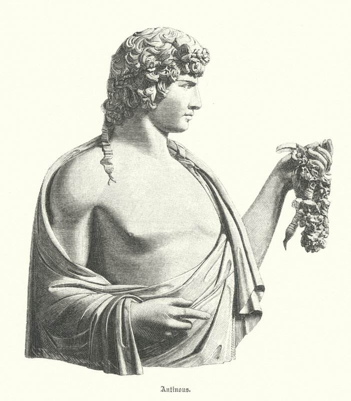 Antinøs, gresk ungdom og favoritt, eller elsker, til den romerske keiseren Hadrian (gravering) av German School