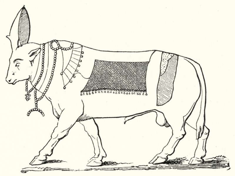 Apis, hellig okse fra det gamle Egypt (gravering) av German School