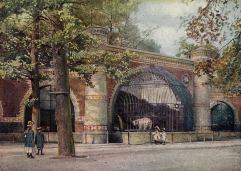 Bjørneinnhegning, Berlin zoologiske hage, Tyskland (farge litho) av German School