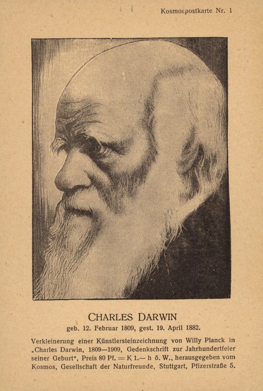 Charles Darwin (1809–1882), engelsk naturforsker (lito) av German School