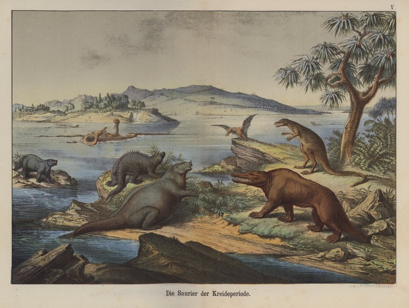 Dinosaurer fra krittperioden (farge litho) av German School