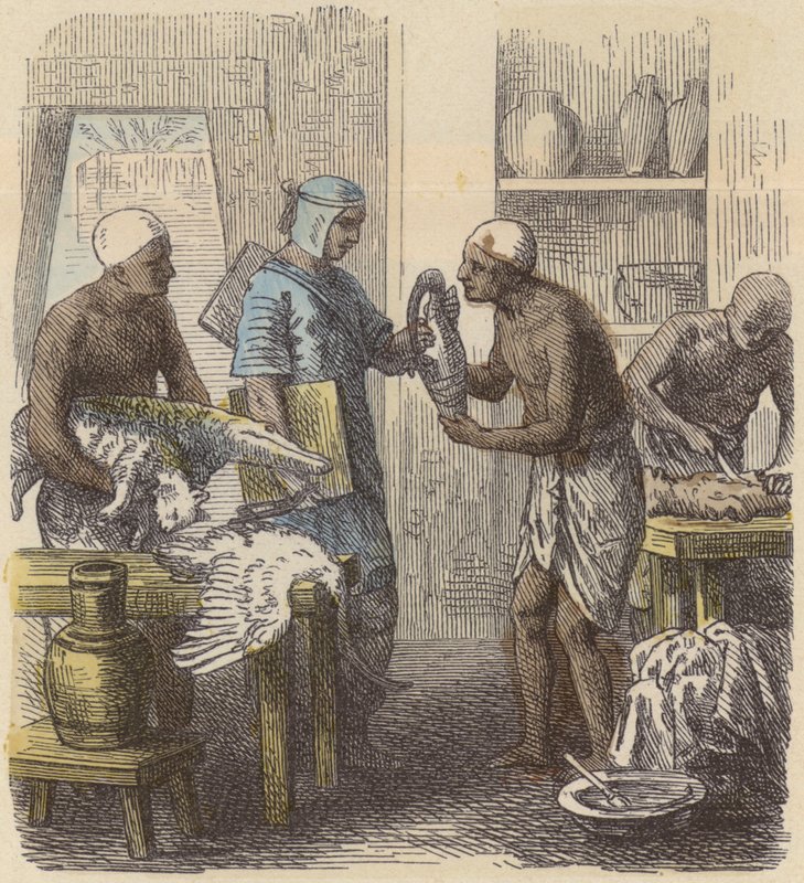 Balsamering av dyr i det gamle Egypt (farget gravering) av German School