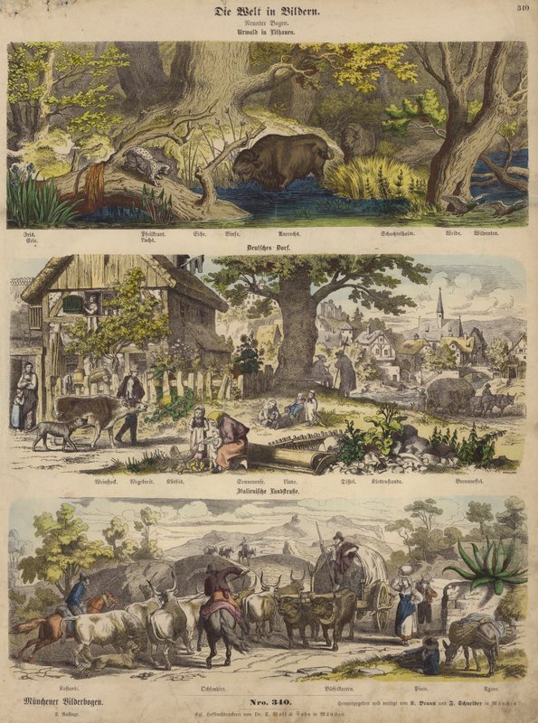 Europa: skog i Litauen; tysk landsby; Italiensk landevei (farget gravering) av German School