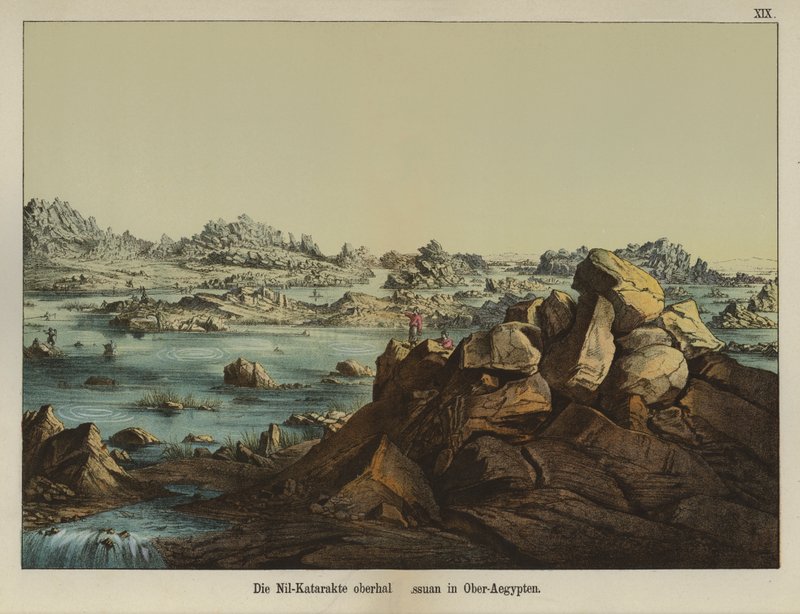Første grå stær av elven Nilen, Aswan, Øvre Egypt (farge litho) av German School