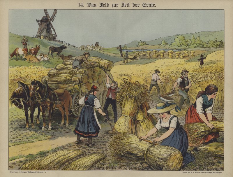 Harvest (farge litho) av German School