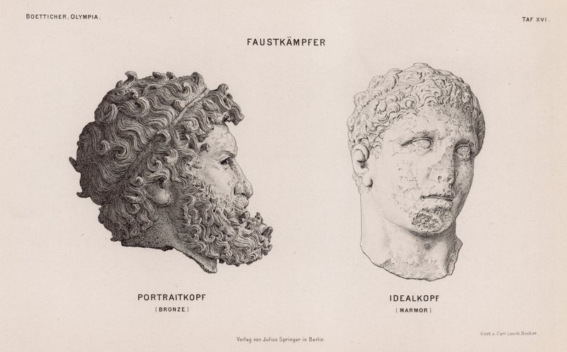 Hoder fra statuer av boksere gravd ut ved Olympia, Hellas (gravering) av German School