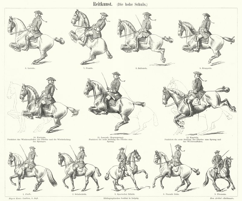 Horsemanship (gravering) av German School