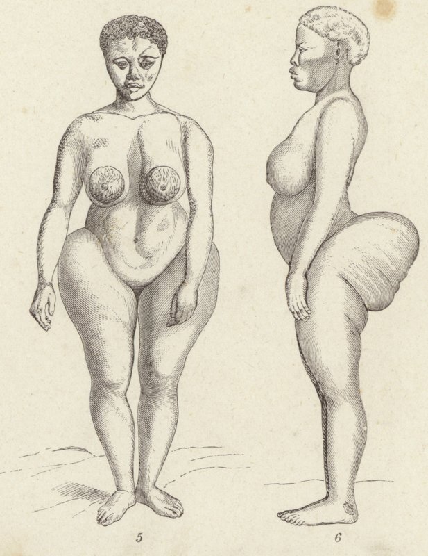 Hottentot Venus (gravering) av German School