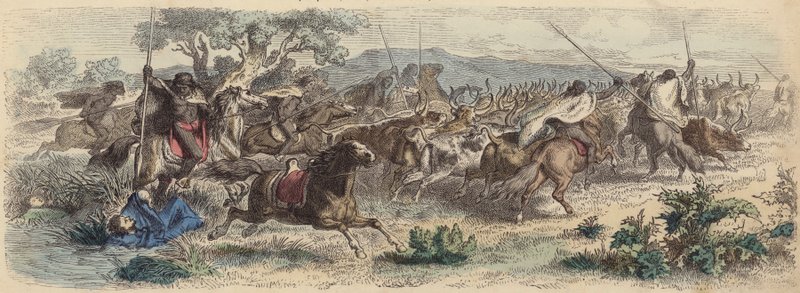 Indianere som overrasker Gauchos på Pampas og drar av gårde med storfeflokken deres (farget gravering) av German School