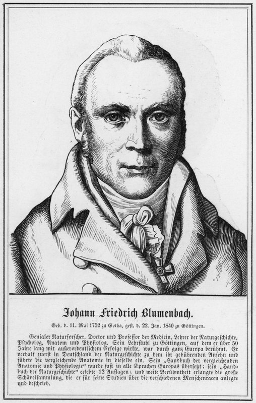 Johann Friedrich Blumenbach (gravering) av German School