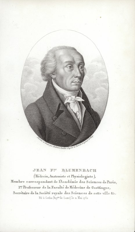 Johann Friedrich Blumenbach av German School