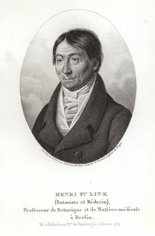 Johann Heinrich Friedrich Link av German School