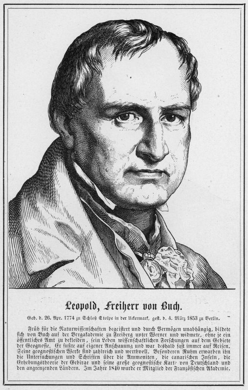 Leopold, Freiherr von Buch (gravering) av German School