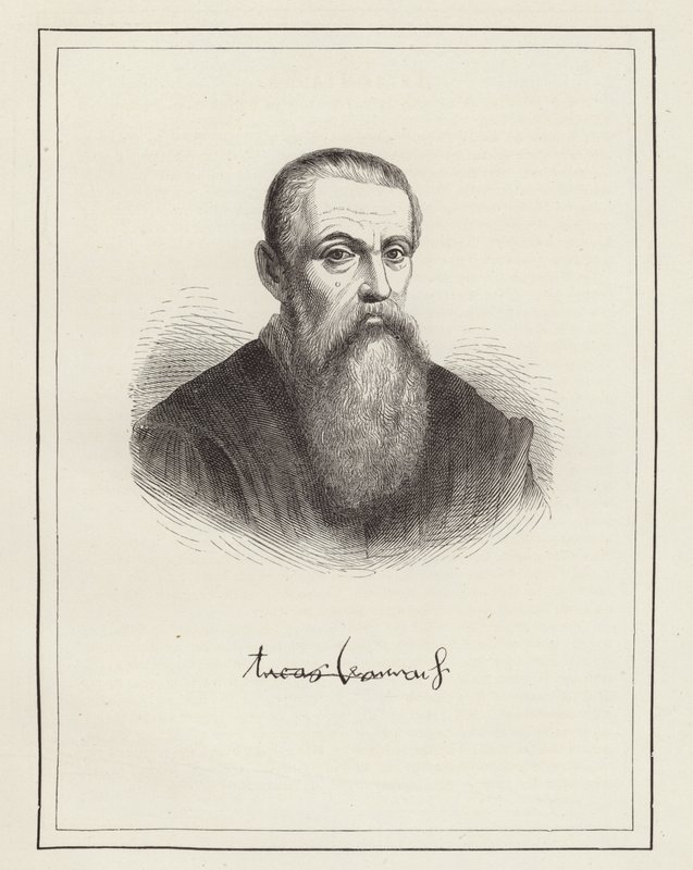Lucas Cranach av German School