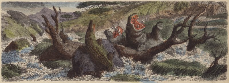 Fjellbekk i Nordøst-Afrika i flom i regntiden (farget gravering) av German School