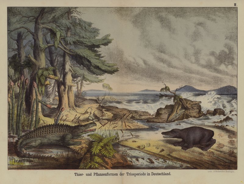 Planter og dyr fra triasperioden i Tyskland (farge litho) av German School
