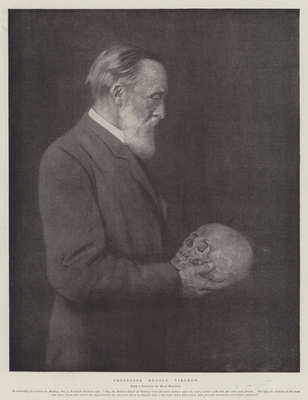 Professor Rudolf Virchow (litho) av German School