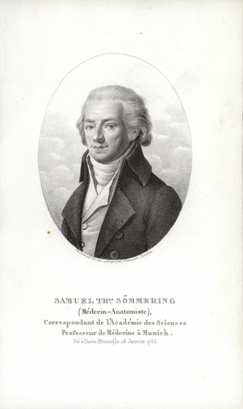 Samuel Thomas von Soemmerring av German School