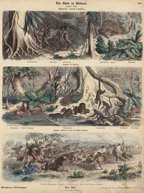 Sør-Amerika: jungel i Brasil; elvebredden i Guyana; Indianere som overrasker Gauchos på Pampas og drar av gårde med storfeflokken deres. (farget gravering) av German School