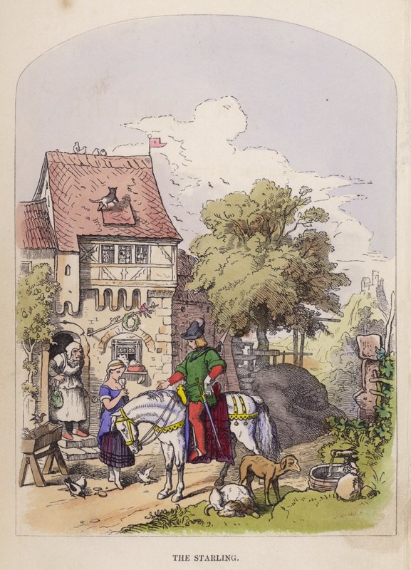 Stæren (farge litho) av German School
