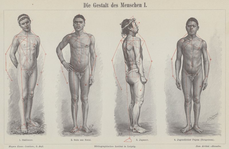 Menneskefiguren (gravering) av German School