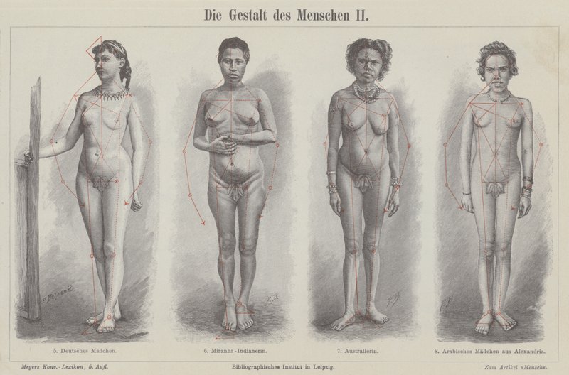 Menneskefiguren (gravering) av German School