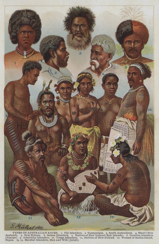 Typer av australske raser (farge litho) av German School