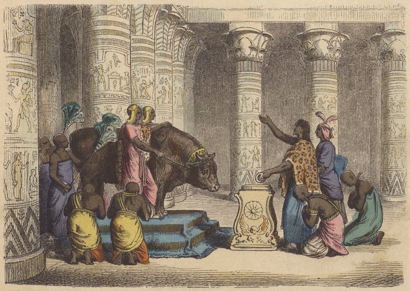 Tilbedelse av Apis-oksen i det gamle Egypt (farget gravering) av German School
