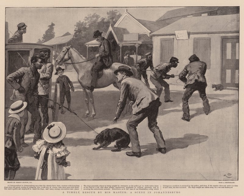 En betimelig redning av sin mester, en scene i Johannesburg av Gordon Frederick Browne