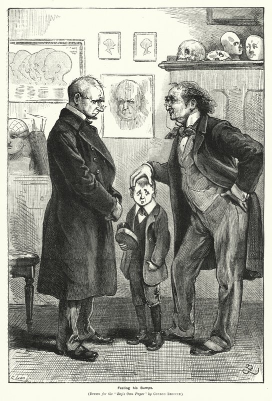 Føler støtene hans (gravering) av Gordon Frederick (after) Browne