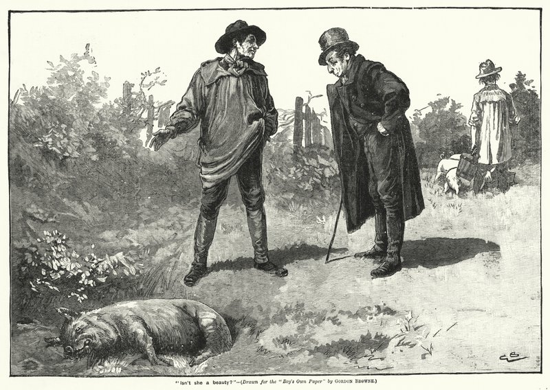 "Er hun ikke en skjønnhet?" (gravering) av Gordon Frederick (after) Browne