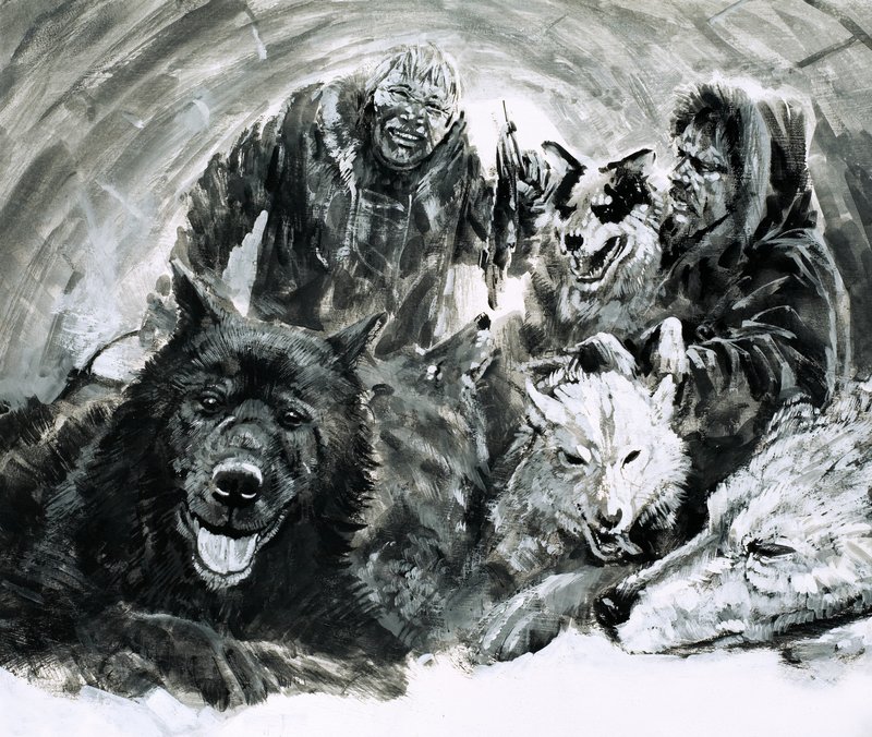 Vilhjalmar Stefansson oppdaget blonde eskimoer (gouache på papir) av Graham Coton