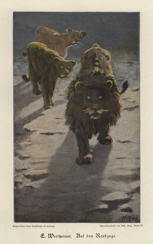 On the Raid (farget gravering) av Gustav Wertheimer