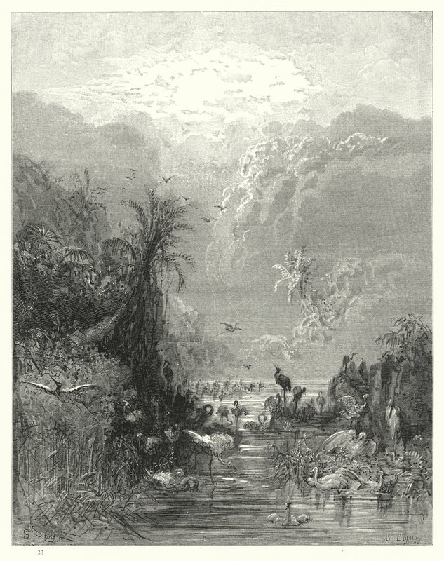 Illustrasjon av Gustave Dore for Miltons Paradise Lost, bok VII, linje 417, 418 av Gustave Dore