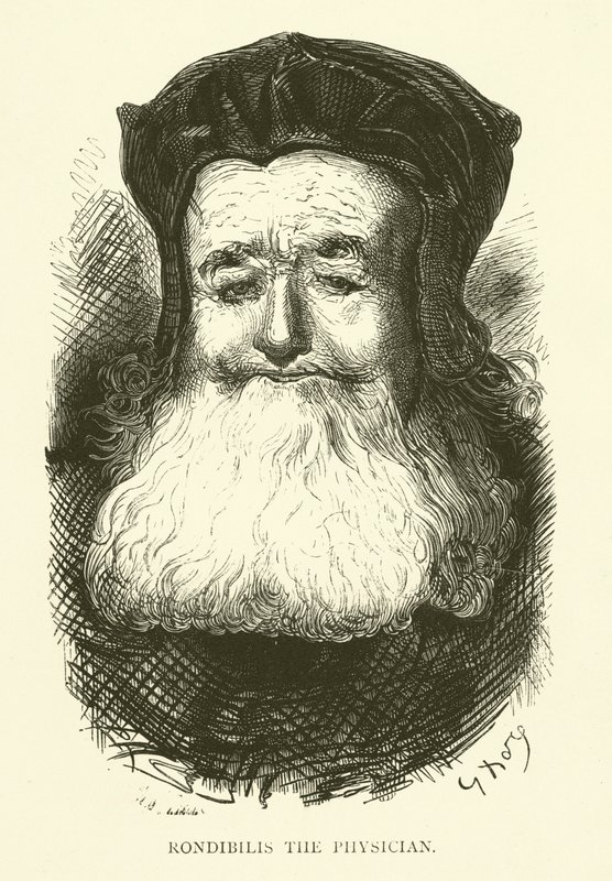 Illustrasjon for verkene til Rabelais av Gustave after Dore