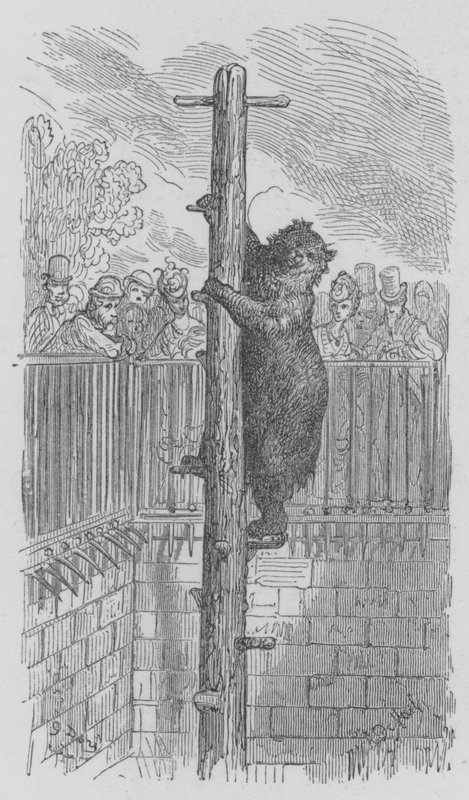 Regents Park, The Bear Pit av Gustave after Dore
