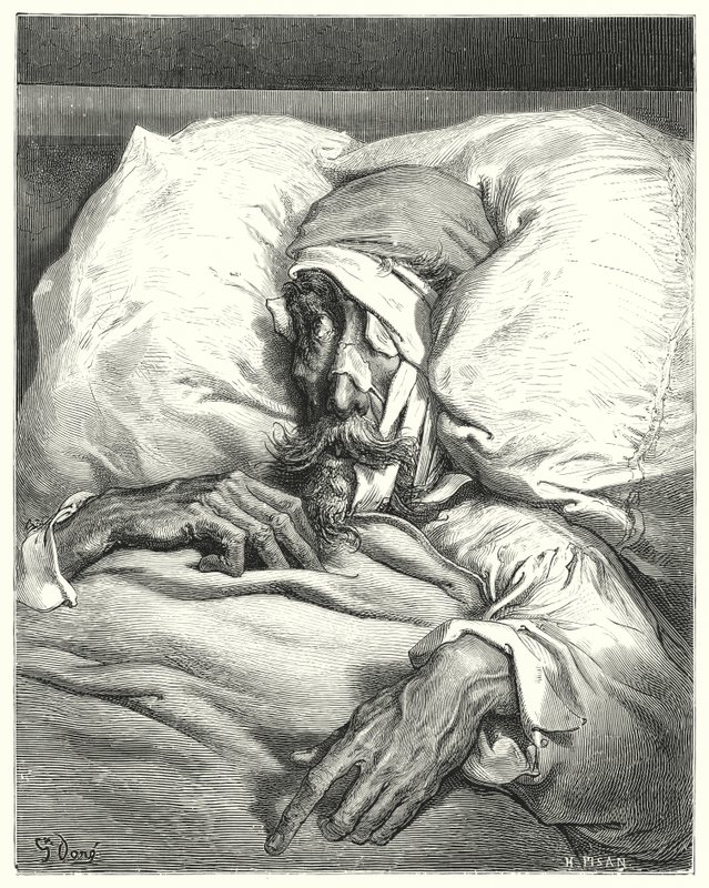 Gustave Dores Don Quijote: "Don Quijote, som dermed var ulykkelig såret, var ekstremt mutt og melankolsk" (gravering) av Gustave Dore