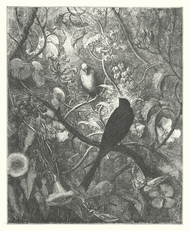  av Gustave Dore