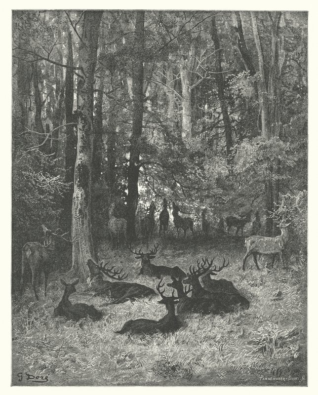  av Gustave Dore