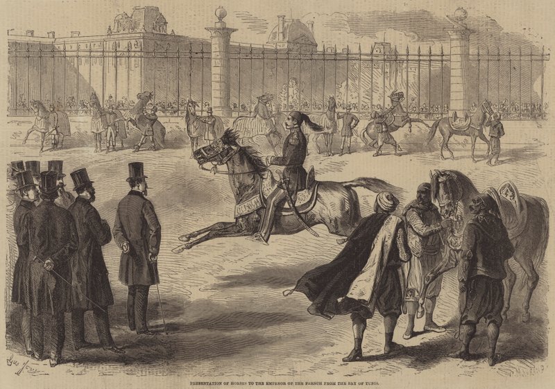 Presentasjon av hester til keiseren av franskmennene fra Bey of Tunis av Gustave Janet