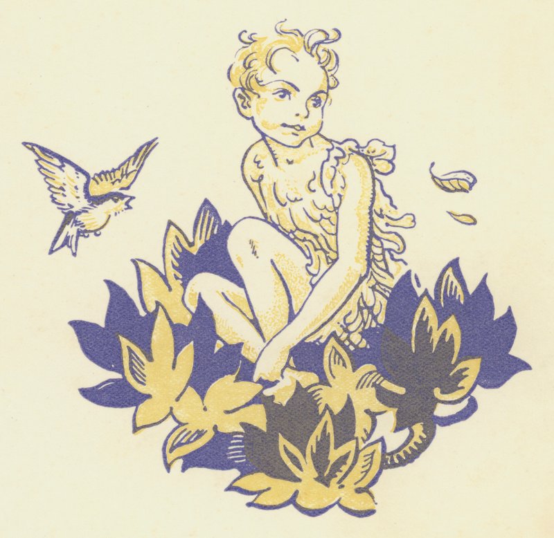 Peter Pan og Wendy: Peter Pan (farge litho) av Gwynedd M. Hudson