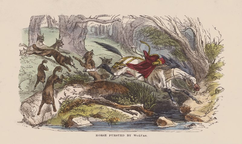 Hest forfulgt av ulver (farget gravering) av after Hablot Knight Browne