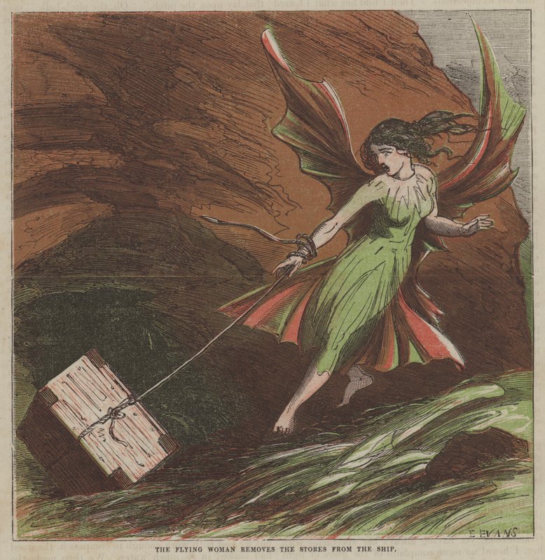 Den flygende kvinnen fjerner lagrene fra skipet (farge litho) av after Hablot Knight Browne