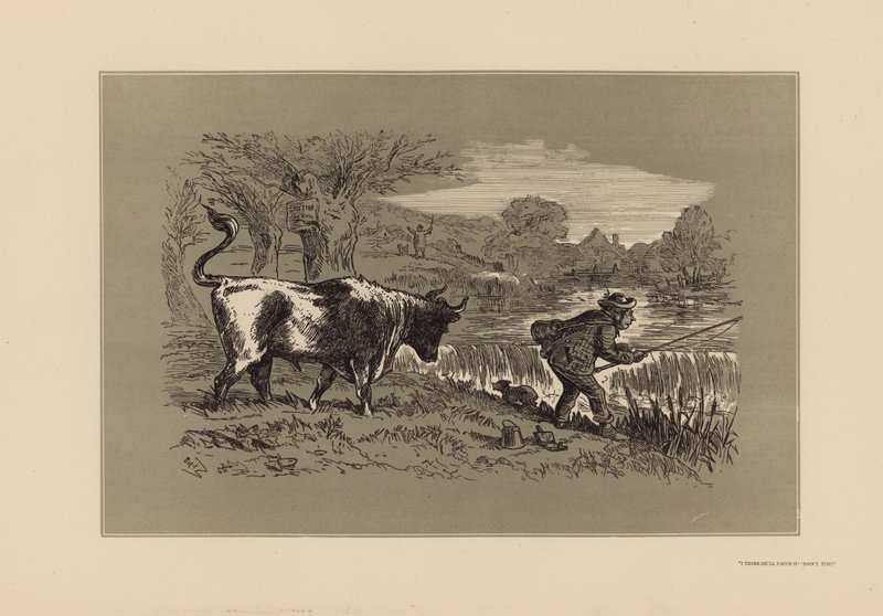 av Hablot Knight (1815 92) Browne