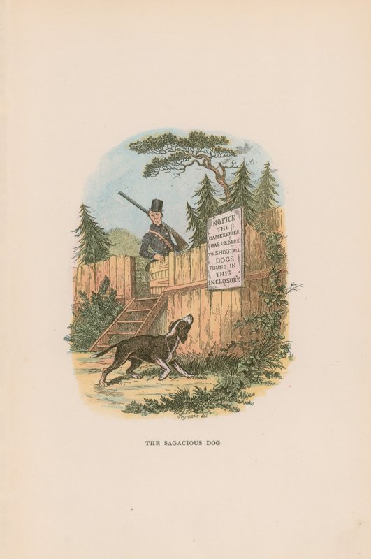 Illustrasjon for Pickwick Papers av Hablot Knight Browne