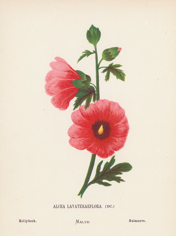  av Hannah Zeller