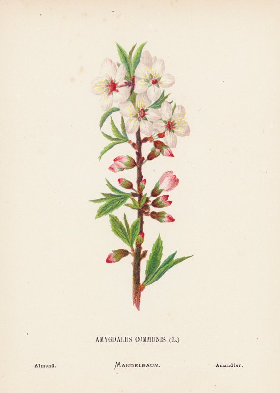  av Hannah Zeller